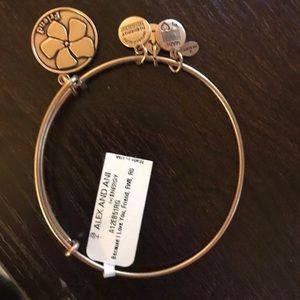 Alex & Ani Friendship bracelet